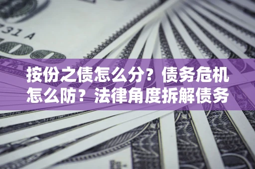 北京按份之债怎么分？债务危机怎么防？法律角度拆解债务分配与风险自保指南