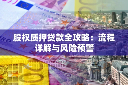 北京股权质押贷款全攻略：流程详解与风险预警
