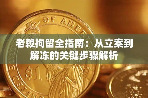 北京老赖拘留全指南：从立案到解冻的关键步骤解析