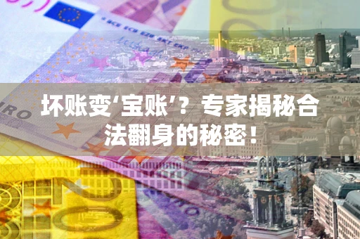 北京坏账变‘宝账’？专家揭秘合法翻身的秘密！