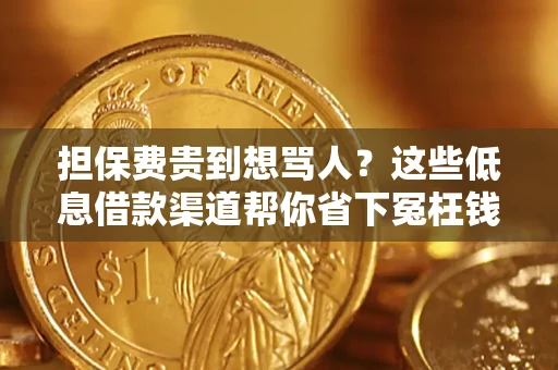 北京担保费贵到想骂人？这些低息借款渠道帮你省下冤枉钱